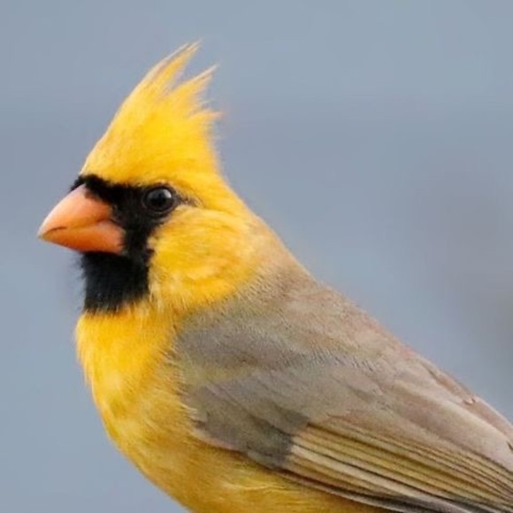 Meet your Posher, Kristen - Picture 1 of 1